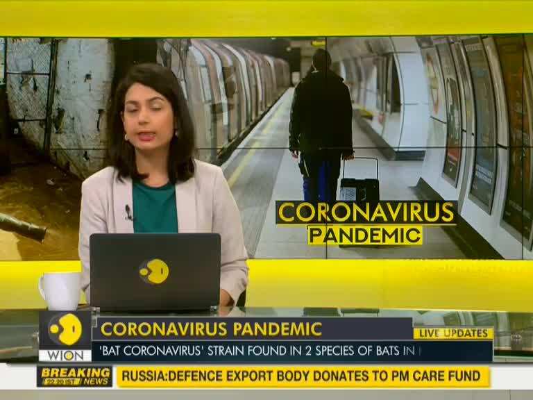 ICMR: Detection of 'Bat coronavirus' in India