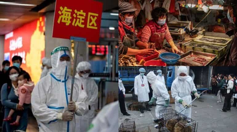 Firmly oppose politicisation of the origin of the virus: China
