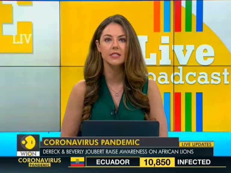 Coronavirus Outbreak: Wildlife tourism collapses due to lockdown