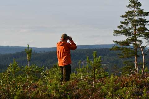 Neglecting nature