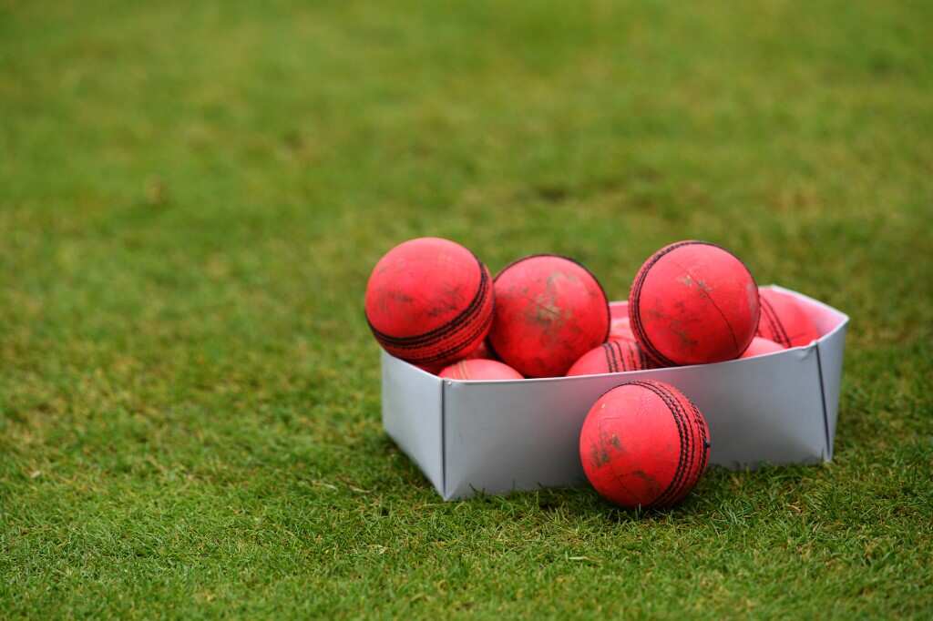 The New norm? Cricket Australia set to seek ICC's permission to use disinfectants on match balls
