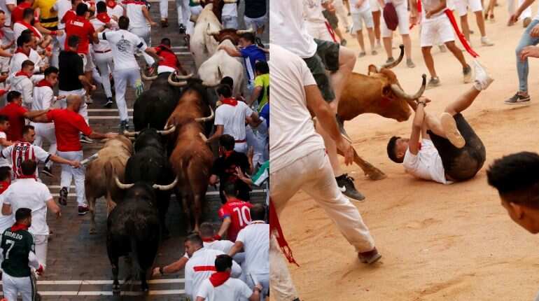 PETA offers money to Spanish city to 'permanently' ban San Fermin festival PETA offers money to Spanish city to 'permanently' ban San Fermin festival
