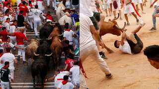 PETA offers money to Spanish city to 'permanently' ban San Fermin festival