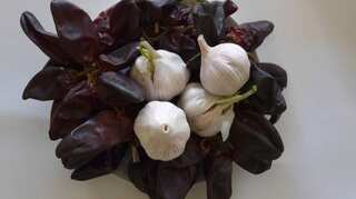 Fake coronavirus cures on social media include ginger, honey & hot air