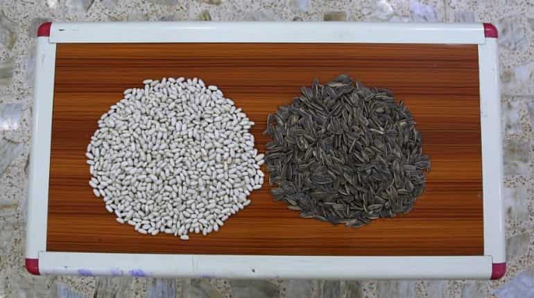 Salted sunflower seeds