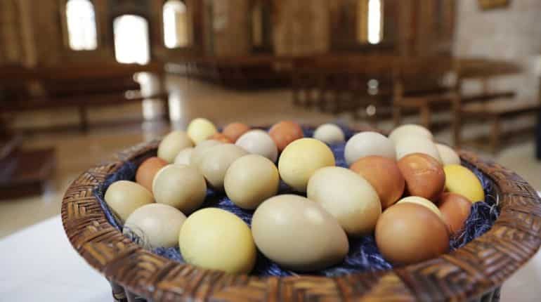 Eggs