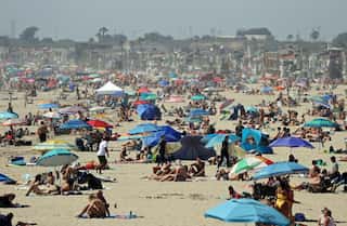 US women urge Supreme Court to repeal topless sunbathing ban as it permits discrimination