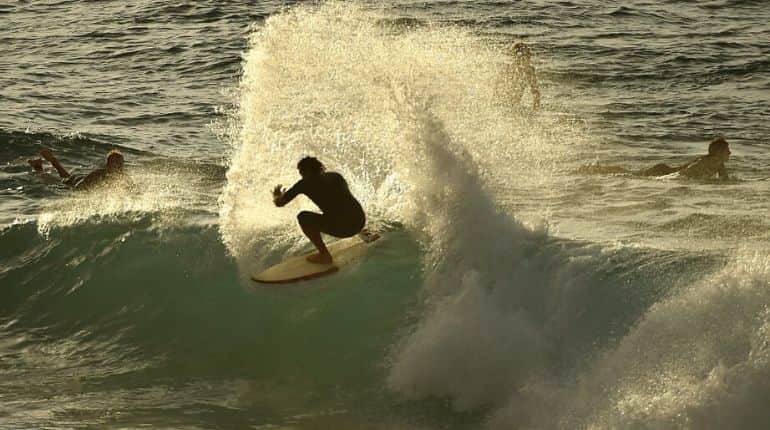 'Surf and go'