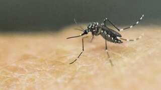 First Zika virus case detected in India's UP state, says report