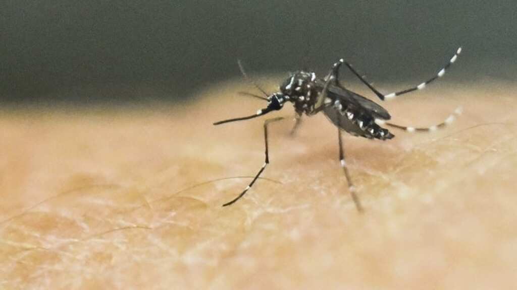 Zika virus spreads in Indian city of Kanpur; ten more infected including IAF personnel