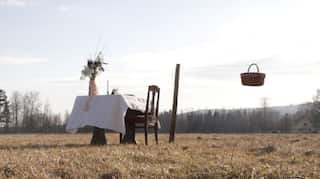 Table for one! Swedish restaurant takes social distancing to another level