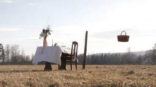 Table for one! Swedish restaurant takes social distancing to another level