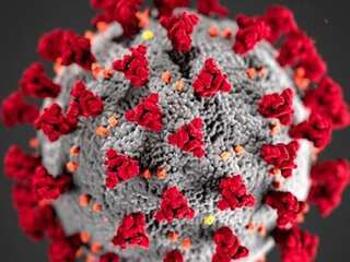 Mutation could have made coronavirus more infectious, study suggests