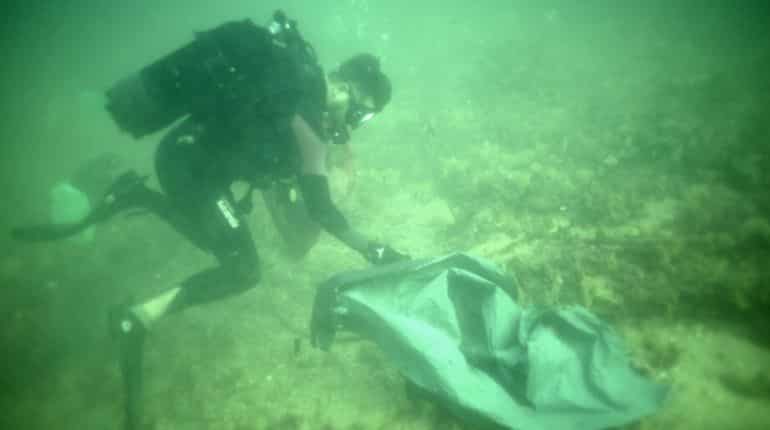 Ocean bed now has more microplastics than ever before Ocean bed now has more microplastics than ever before