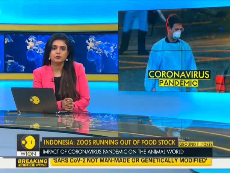 Zoos running out of food stock in Indonesia