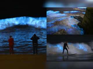 Surf's up! Surfers glide along fluorescent waves in California