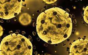 Gates Foundation says it's working with FDA to resume at-home COVID-19 testing