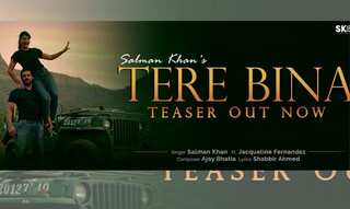 Teaser of Salman Khan and Jacqueline Fernandez 'Tere Bina' song is out now!