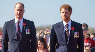 William and Harry reunite for Diana statue tribute