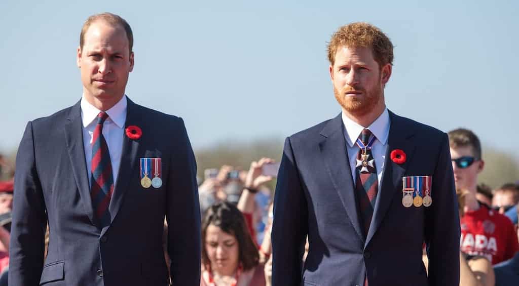 William and Harry reunite for Diana statue tribute