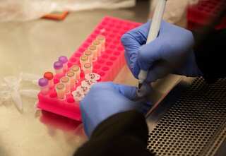 Health ministry recommends remdesivir for moderate cases, HCQ for early course of COVID-19