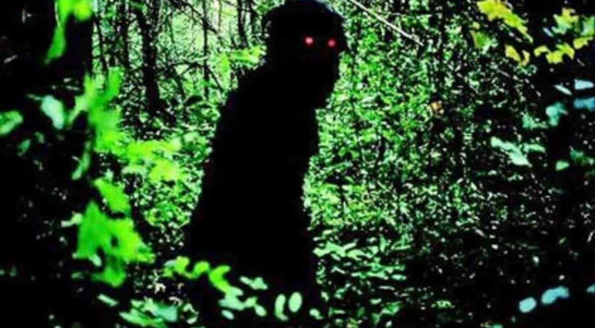 Uncle Boonmee Who Can Recall His Past Lives (Palme d’Or, 2010)