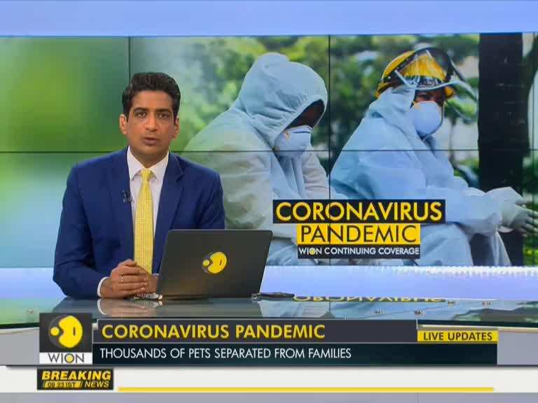 Thousand of pets separated from families amid COVID-19 outbreak