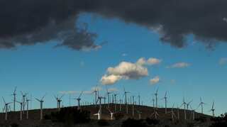 Trump administration ends two-year rent holiday for solar and wind projects