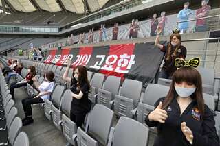 South Korea's FC Seoul get record fine over sex dolls in stands