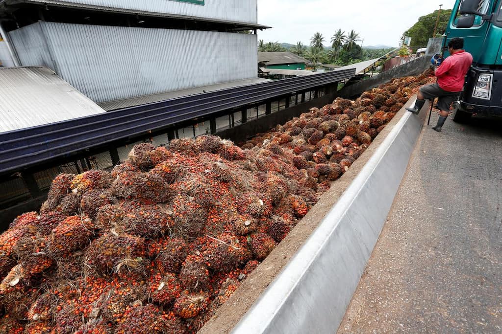 India resumes purchase of Malaysian palm oil