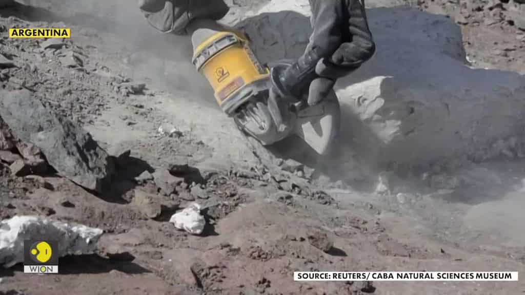 Fossil of one of the last megaraptors on the planet found in Argentina