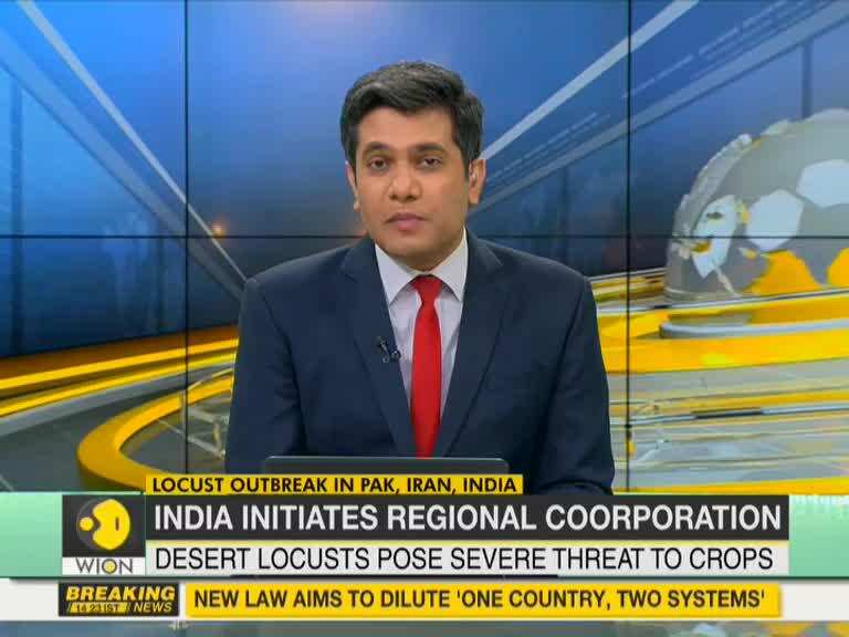 India leads joint effort to combat Locust outbreak: Offers pesticides to Iran and Pakistan