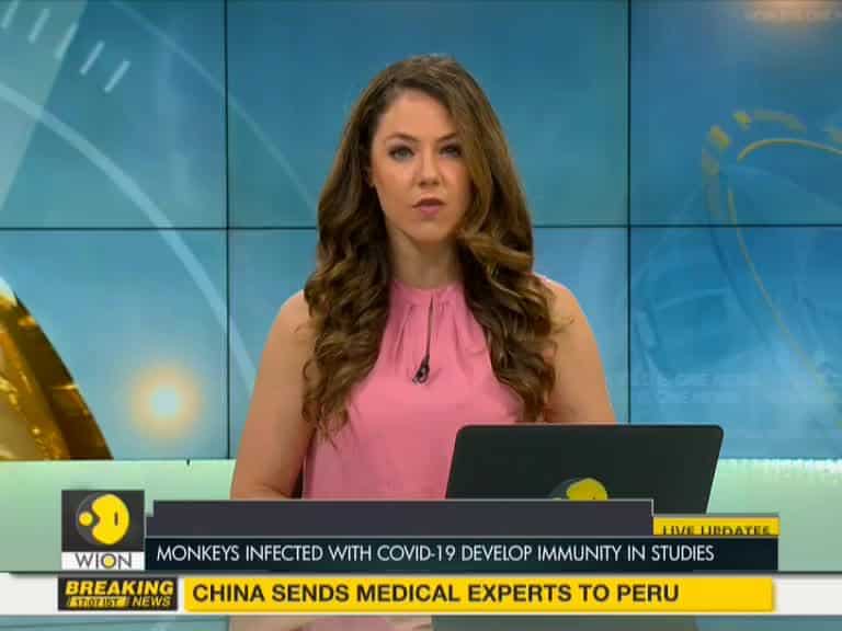 Monkeys infected with COVID-19 develop immunity in studies