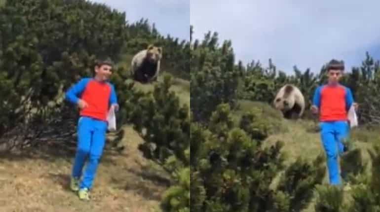 Watch: 12-year-old boy confronts giant bear while taking stroll on Italian hills Watch: 12-year-old boy confronts giant bear while taking stroll on Italian hills