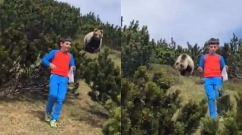 Watch: 12-year-old boy confronts giant bear while taking stroll on Italian hills