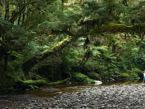 Lost hikers found after over two weeks in New Zealand wilderness Lost hikers found after over two weeks in New Zealand wilderness