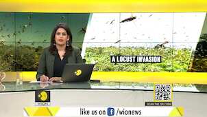 Gravitas: India's worst locust attack in 26 years