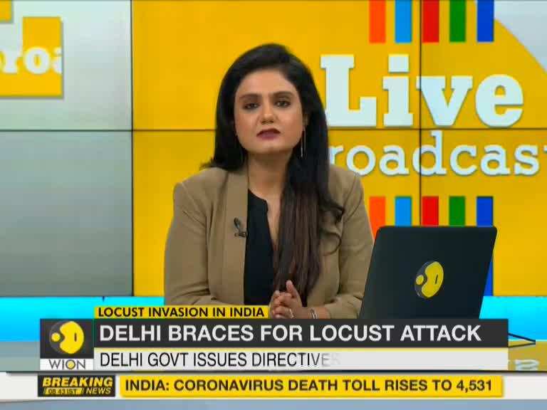 Delhi government issues advisory: Locust attack in Delhi