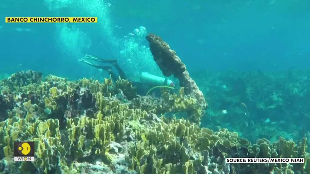 Archaeologists discover 200-year-old shipwreck in Mexico's Caribbean