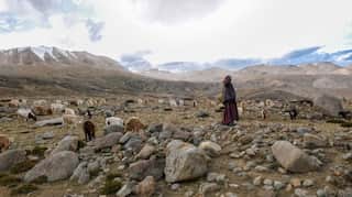 First normal delivery conducted in COVID hospital in Ladakh; three test positive