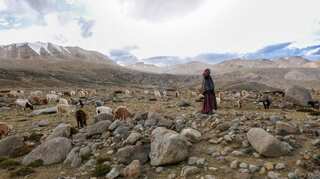 First normal delivery conducted in COVID hospital in Ladakh; three test positive