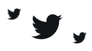 Twitter’s blue bird goes black to show solidarity with protestors in the US