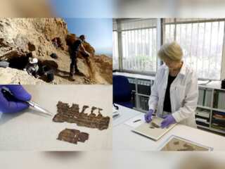 Hides that reveal: DNA helps scholars divine Dead Sea Scrolls