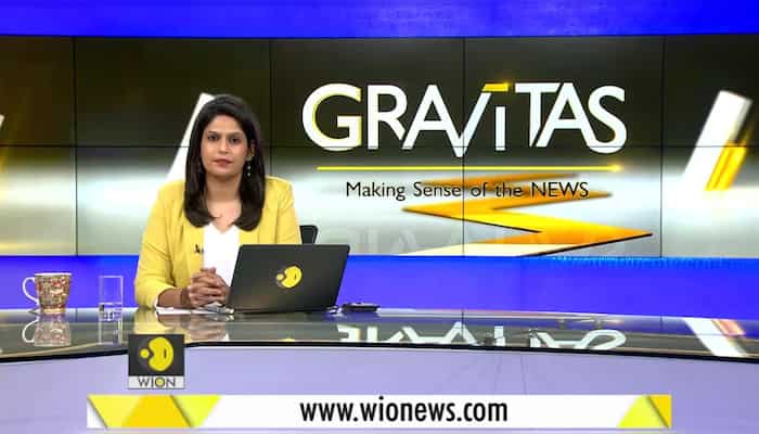 Gravitas: Food for thought | Pregnant elephant's death shakes India