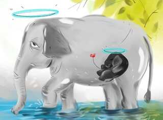 'She was harmless' - From Sunil Chhetri to Rohit Sharma: Sports fraternity reacts to the cruel killing of pregnant elephant in Kerala
