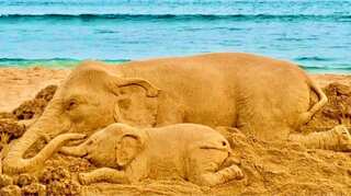 'Humanity failed again': Artists, common man join chorus against horrific elephant killing