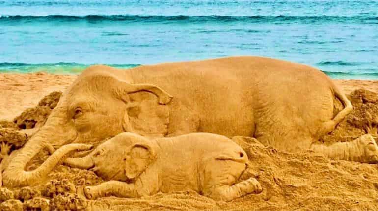 'Humanity failed again': Artists, common man join chorus against horrific elephant killing