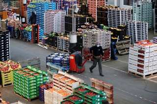 World food price index hits 17-month low in May: UN