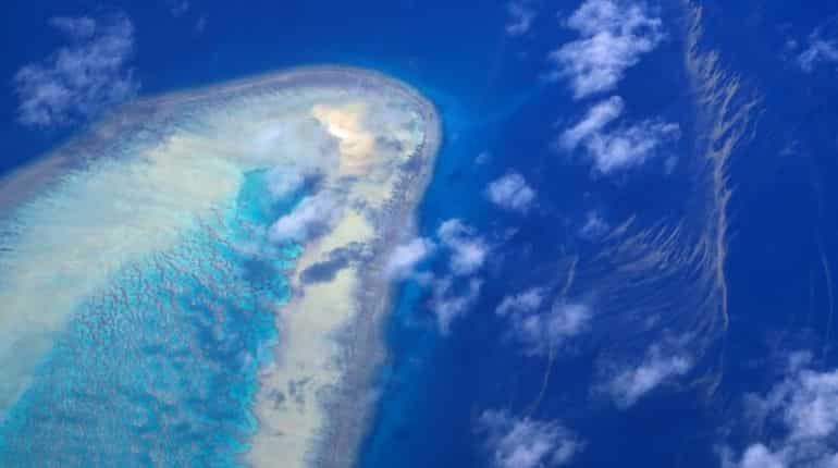 Great Barrier Reef simultaneously releases sperm and eggs