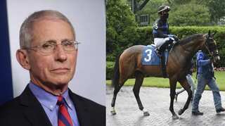 Horse named after Anthony Fauci finishes second in debut race